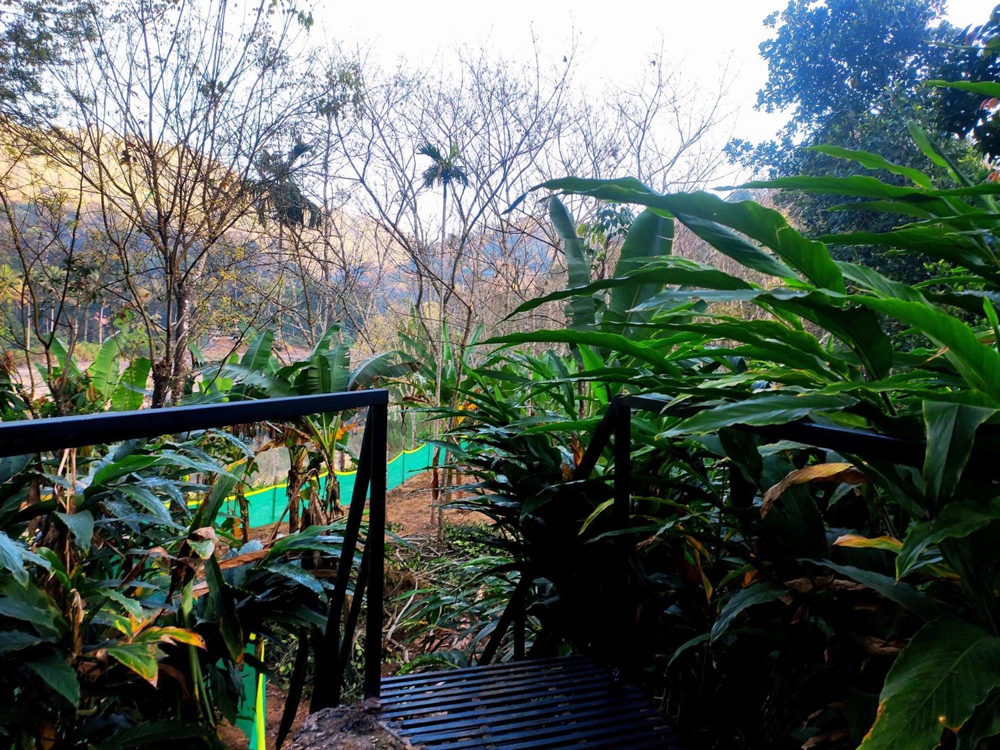 Mistey Valley Munnar Villa Anachal 외부 사진